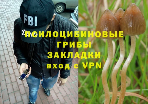 гидропоника Алексеевка