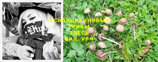 гидропоника Алексеевка
