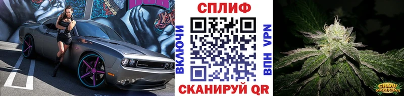 Марихуана OG Kush  купить   Печоры 